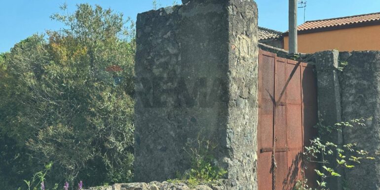 20250424105305-945106-6