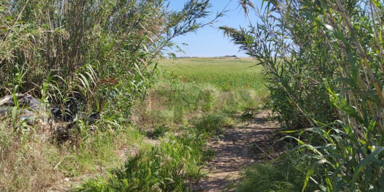 20250430190451-946238-0