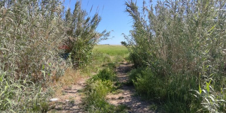 20250430190451-946238-1