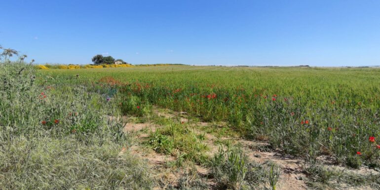 20250430190451-946238-4