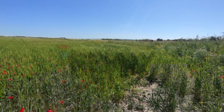 20250430190452-946238-5