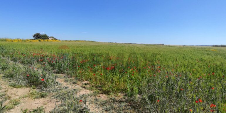 20250430190452-946238-6