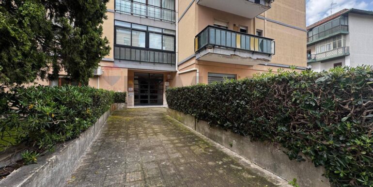 2025043094352-946058-2