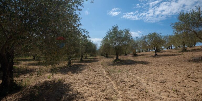 2025050294005-946048-1