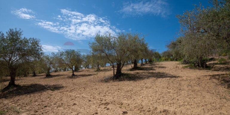 2025050294008-946048-2