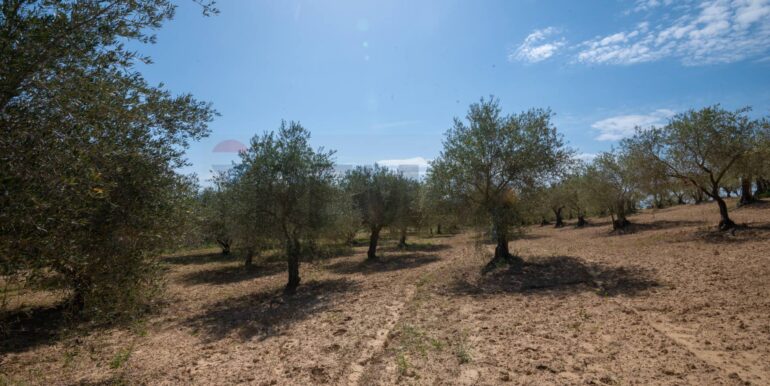 2025050294011-946048-3