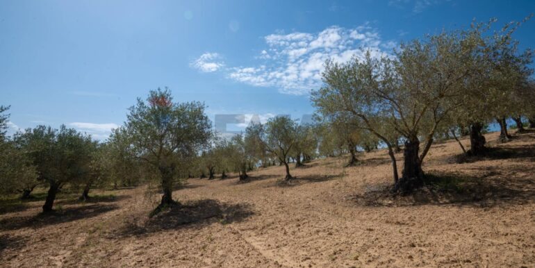 2025050294013-946048-4