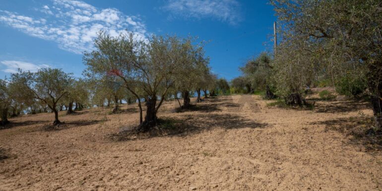 2025050294016-946048-5