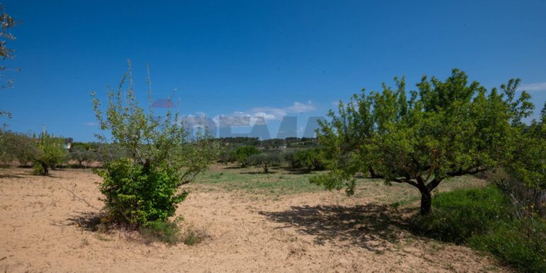 2025050294019-946048-6