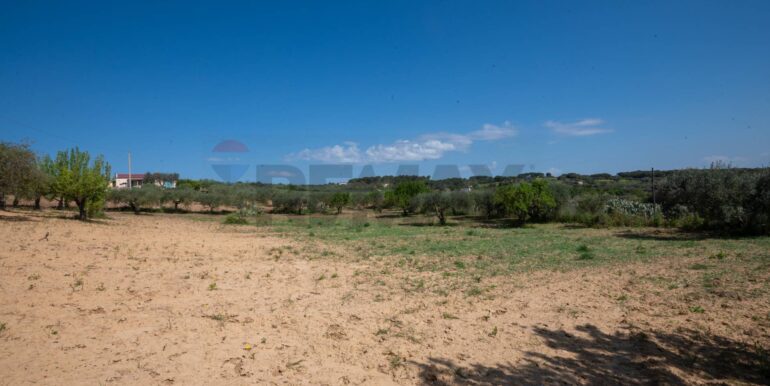 2025050294021-946048-7