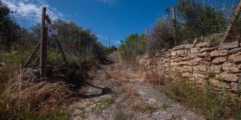 2025050294024-946048-8