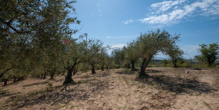 2025050294027-946048-9