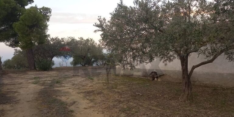 20250504163751-946471-1