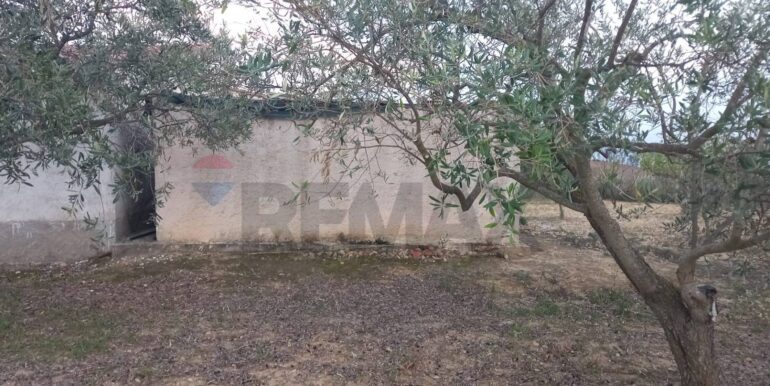 20250504163752-946471-2