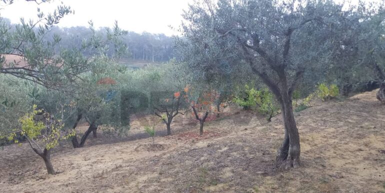 20250504163801-946471-5