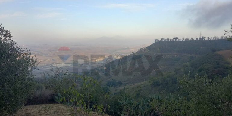 20250504163807-946471-7