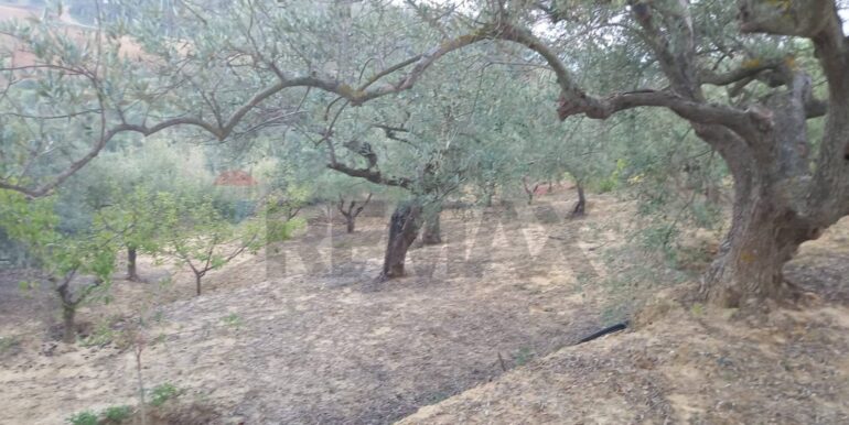 20250504163810-946471-8