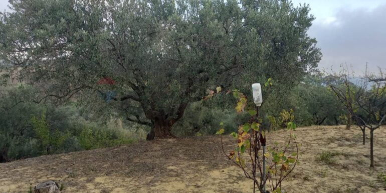 20250504163816-946471-10