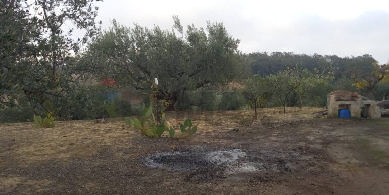 20250504163819-946471-11