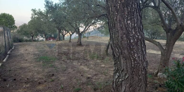 20250504163822-946471-12