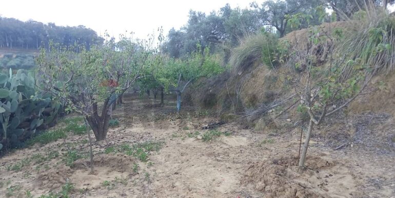 20250504163825-946471-13