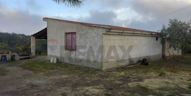 20250504163831-946471-15