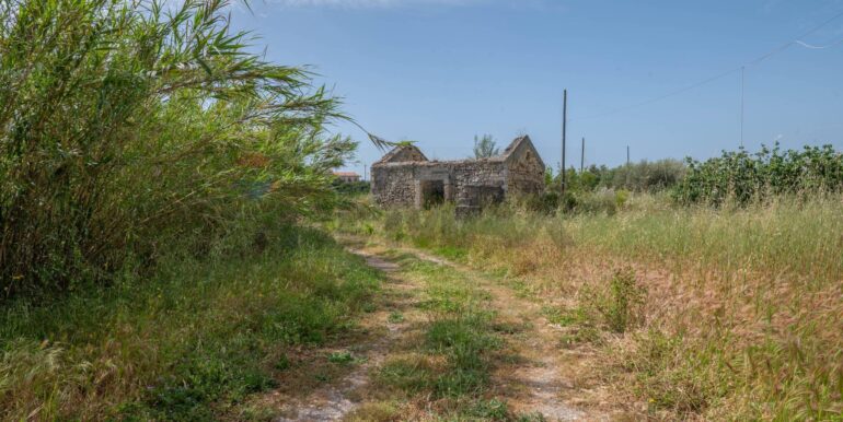 20250506190648-944862-5