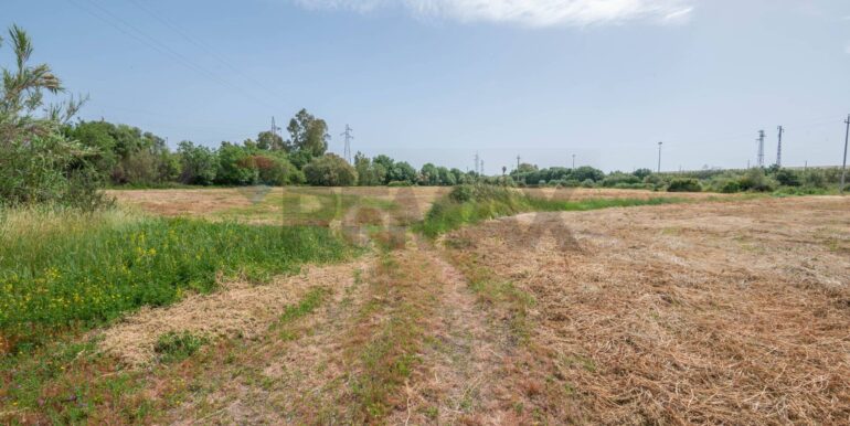 20250506190650-944862-6