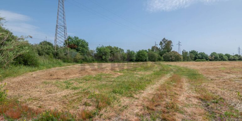 20250506190653-944862-7