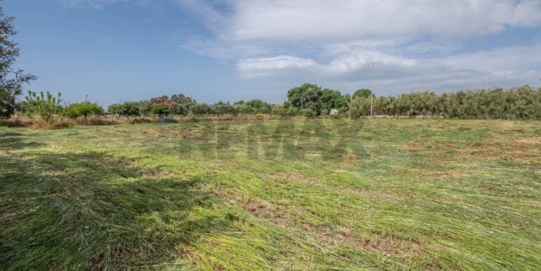 20250506192412-944868-6