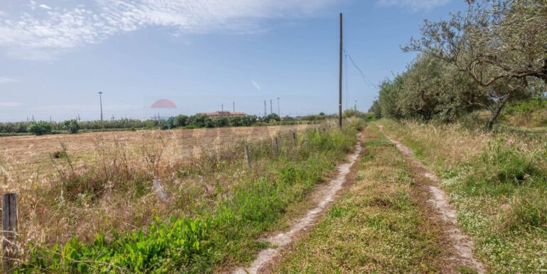 20250506192423-944868-10