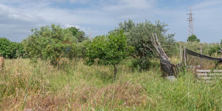 20250506192431-944868-13