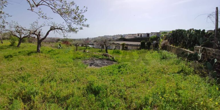 20250507161728-946998-1