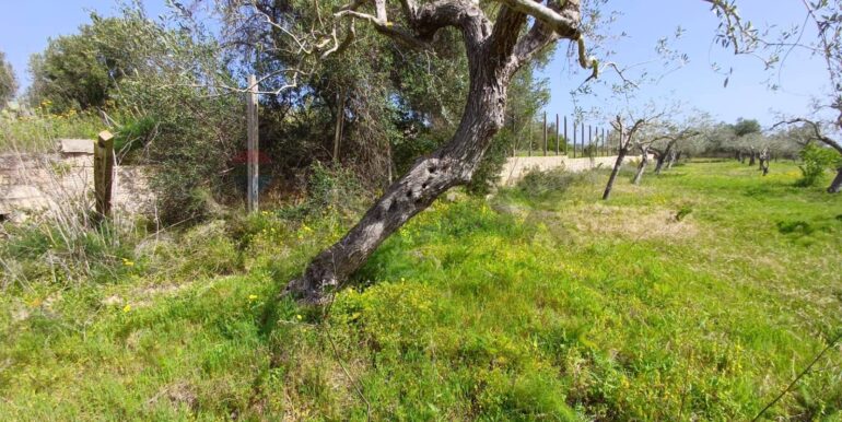 20250507161730-946998-2