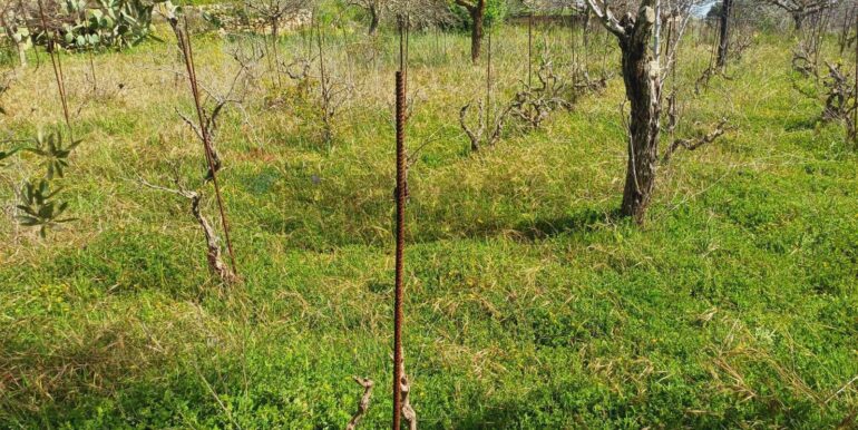 20250507161734-946998-5