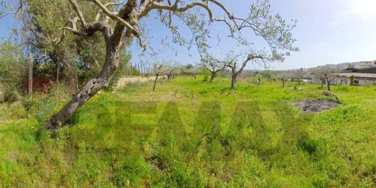 20250507161737-946998-7