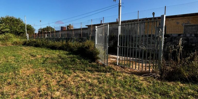 20250512173800-948183-11