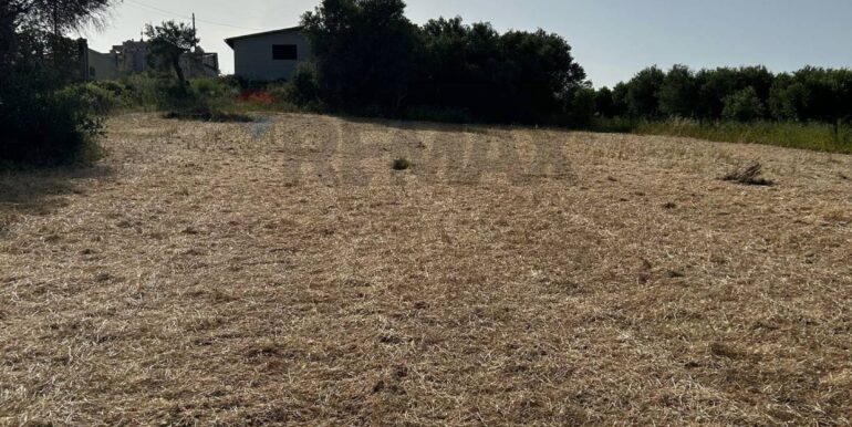 20250512184607-948170-1