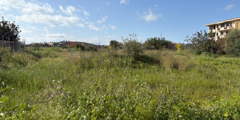 20250512200442-948177-7