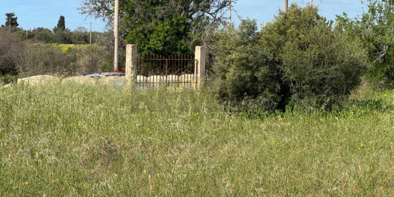 2025051592451-948739-1