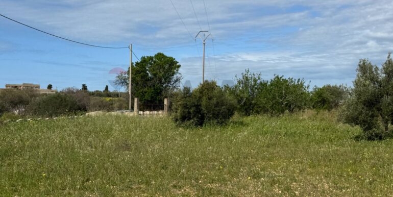 2025051592453-948739-2