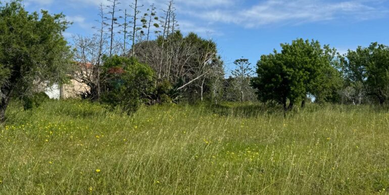 2025051592456-948739-3