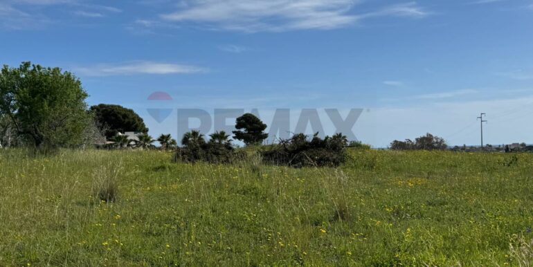 2025051592458-948739-4