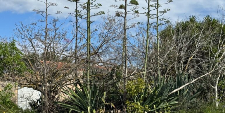 2025051592459-948739-5