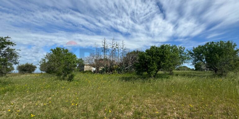 2025051592501-948739-6