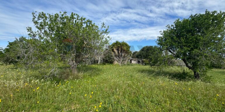 2025051592504-948739-7