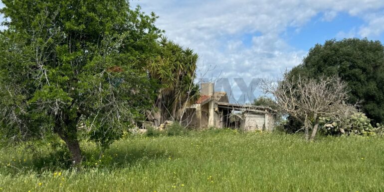 2025051592506-948739-8