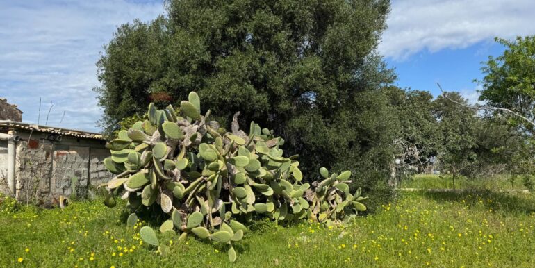 2025051592513-948739-11