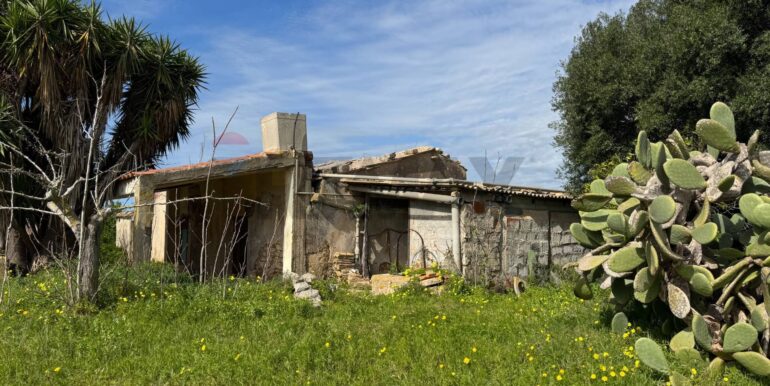 2025051592515-948739-12