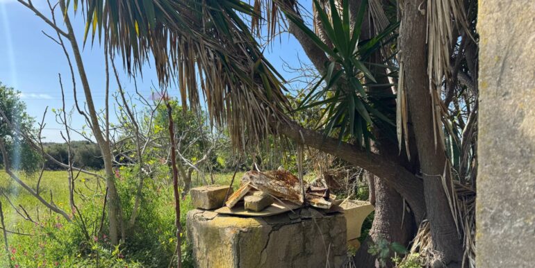 2025051592518-948739-13